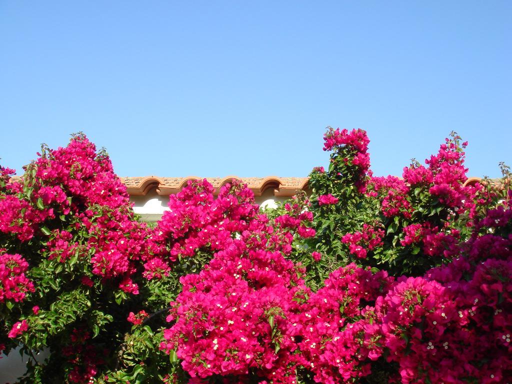 Monte Dos Arneiros Hotel Lavre Esterno foto